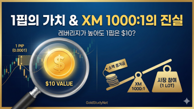 핍 가치란?